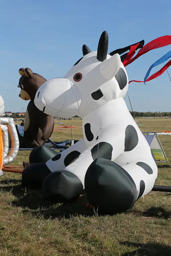 057 | 2019 | Berlin | Festival der Riesendrachen | © carsten riede fotografie