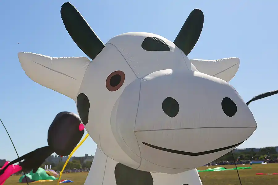 058 | 2019 | Berlin | Festival der Riesendrachen | © carsten riede fotografie