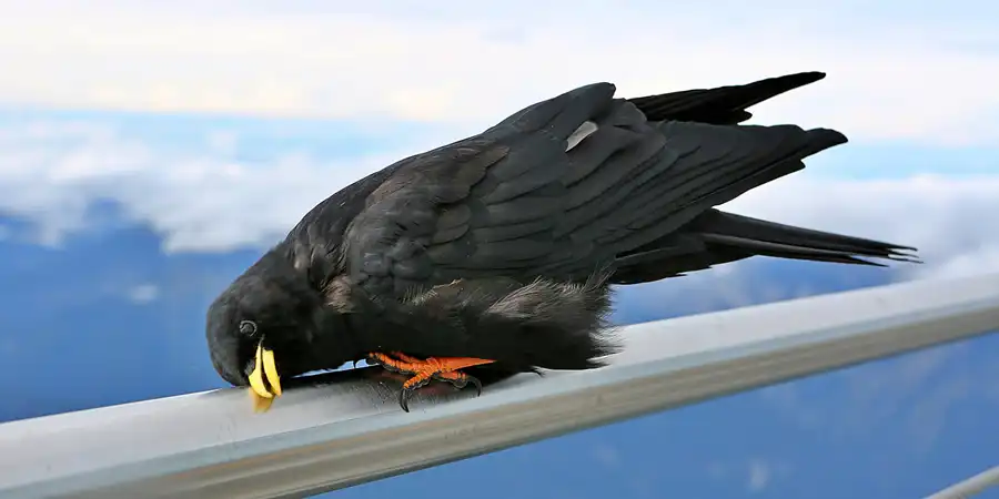 011 | 2019 | Zugspitze | © carsten riede fotografie