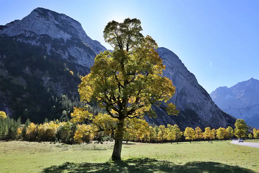 167 | 2019 | Naturpark Karwendel | Der grosse Ahornboden | © carsten riede fotografie