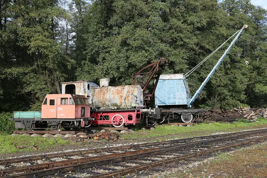104 | 2019 | Wolsztyn | Parowozownia Wolsztyn | © carsten riede fotografie