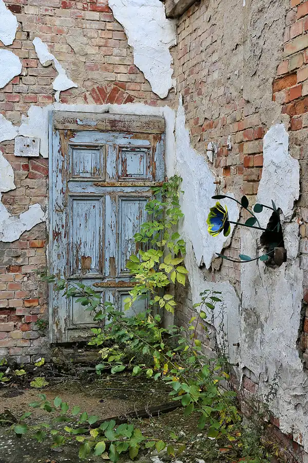 006 | 2019 | Strelitz-Alt | Mecklenburg-Strelitzsche Landesirrenanstalt Domjüch – artbase 2019 | © carsten riede fotografie