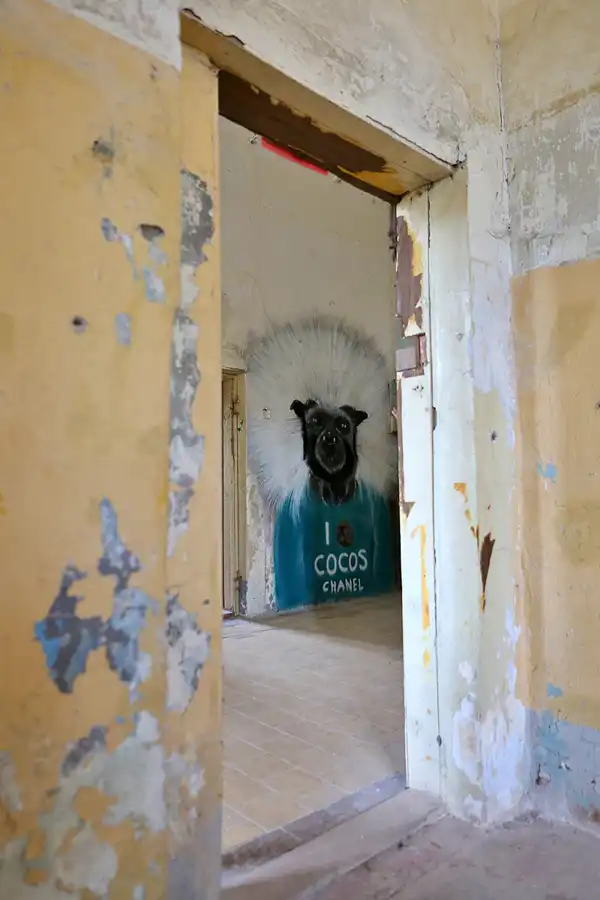 028 | 2019 | Strelitz-Alt | Mecklenburg-Strelitzsche Landesirrenanstalt Domjüch – artbase 2019 | © carsten riede fotografie