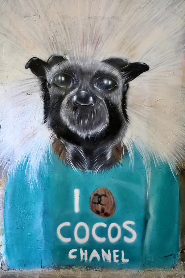 029 | 2019 | Strelitz-Alt | Mecklenburg-Strelitzsche Landesirrenanstalt Domjüch – artbase 2019 | © carsten riede fotografie