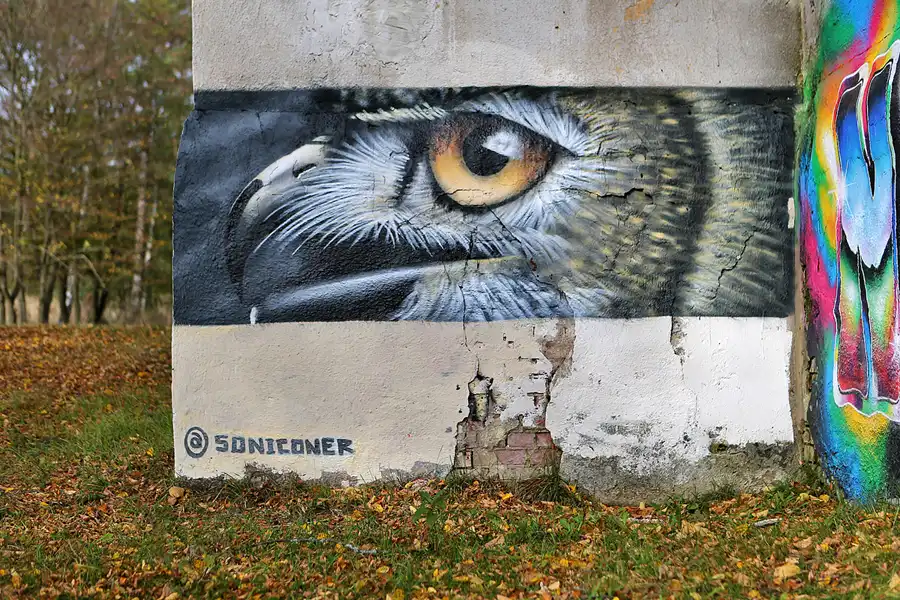 051 | 2019 | Strelitz-Alt | Mecklenburg-Strelitzsche Landesirrenanstalt Domjüch – artbase 2019 | © carsten riede fotografie