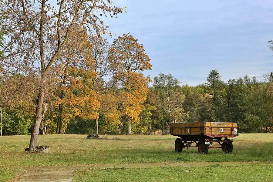 075 | 2019 | Strelitz-Alt | Mecklenburg-Strelitzsche Landesirrenanstalt Domjüch – artbase 2019 | © carsten riede fotografie