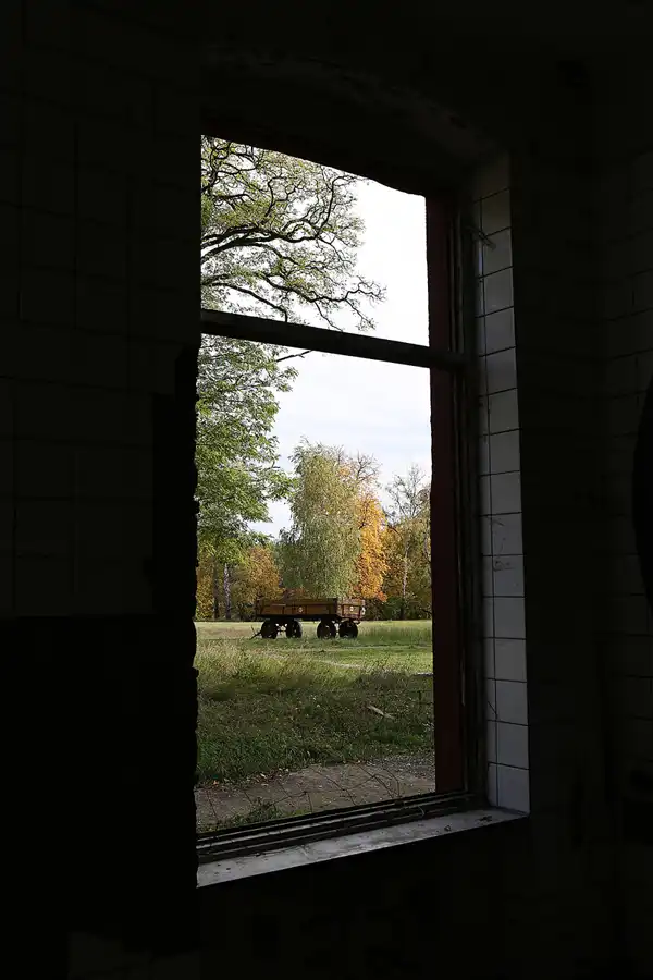 076 | 2019 | Strelitz-Alt | Mecklenburg-Strelitzsche Landesirrenanstalt Domjüch – artbase 2019 | © carsten riede fotografie