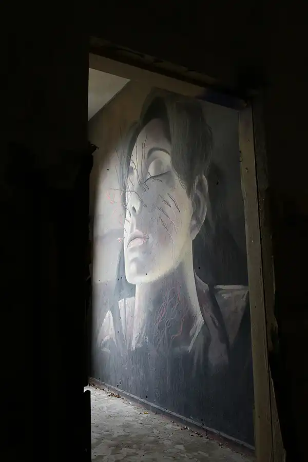 080 | 2019 | Strelitz-Alt | Mecklenburg-Strelitzsche Landesirrenanstalt Domjüch – artbase 2019 | © carsten riede fotografie