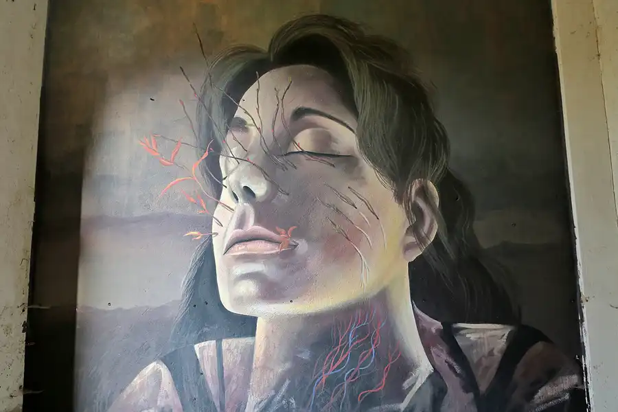 081 | 2019 | Strelitz-Alt | Mecklenburg-Strelitzsche Landesirrenanstalt Domjüch – artbase 2019 | © carsten riede fotografie