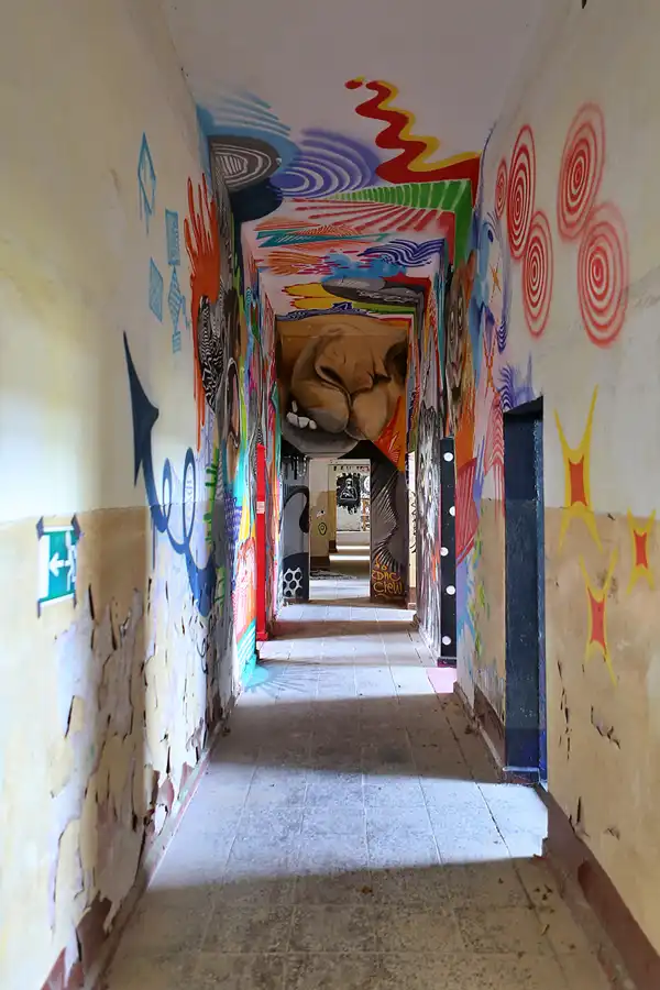 101 | 2019 | Strelitz-Alt | Mecklenburg-Strelitzsche Landesirrenanstalt Domjüch – artbase 2019 | © carsten riede fotografie