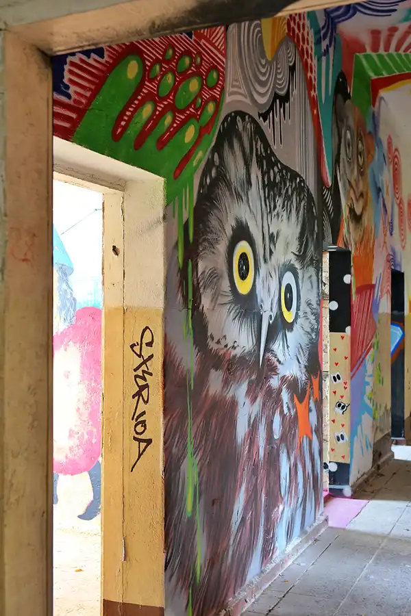 115 | 2019 | Strelitz-Alt | Mecklenburg-Strelitzsche Landesirrenanstalt Domjüch – artbase 2019 | © carsten riede fotografie