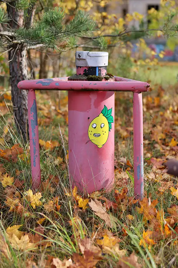 145 | 2019 | Strelitz-Alt | Mecklenburg-Strelitzsche Landesirrenanstalt Domjüch – artbase 2019 | © carsten riede fotografie