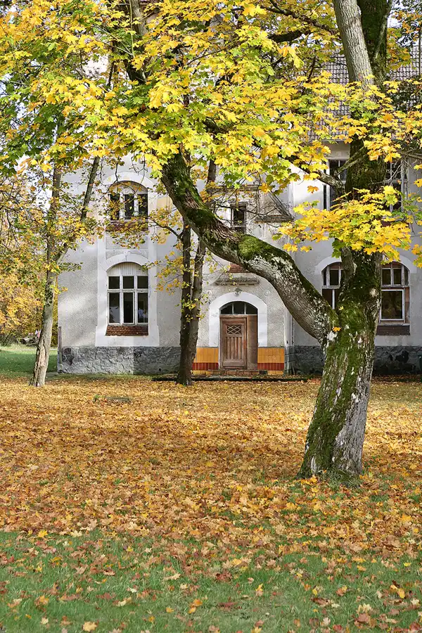 215 | 2019 | Strelitz-Alt | Mecklenburg-Strelitzsche Landesirrenanstalt Domjüch – artbase 2019 | © carsten riede fotografie