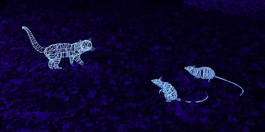 021 | 2019 | Berlin | Gärten der Welt im Erholungspark Marzahn – Magical Festival of Lights Garden | © carsten riede fotografie