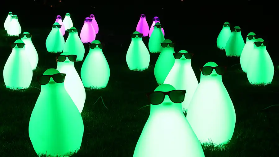 044 | 2019 | Berlin | Gärten der Welt im Erholungspark Marzahn – Magical Festival of Lights Garden | © carsten riede fotografie