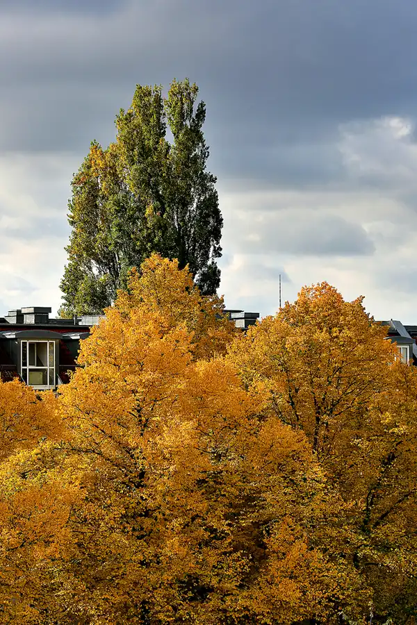 036 | 2020 | Berlin | © carsten riede fotografie