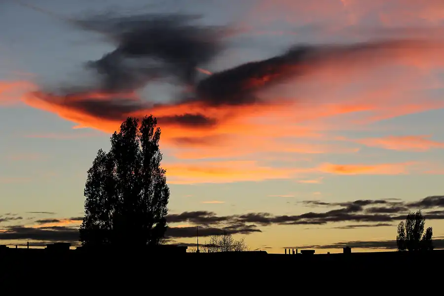 038 | 2020 | Berlin | © carsten riede fotografie