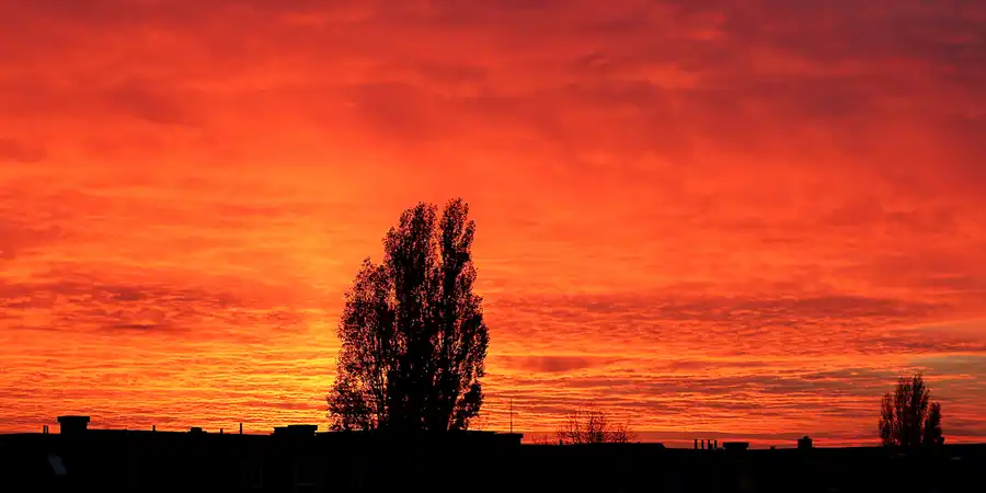 039 | 2020 | Berlin | © carsten riede fotografie