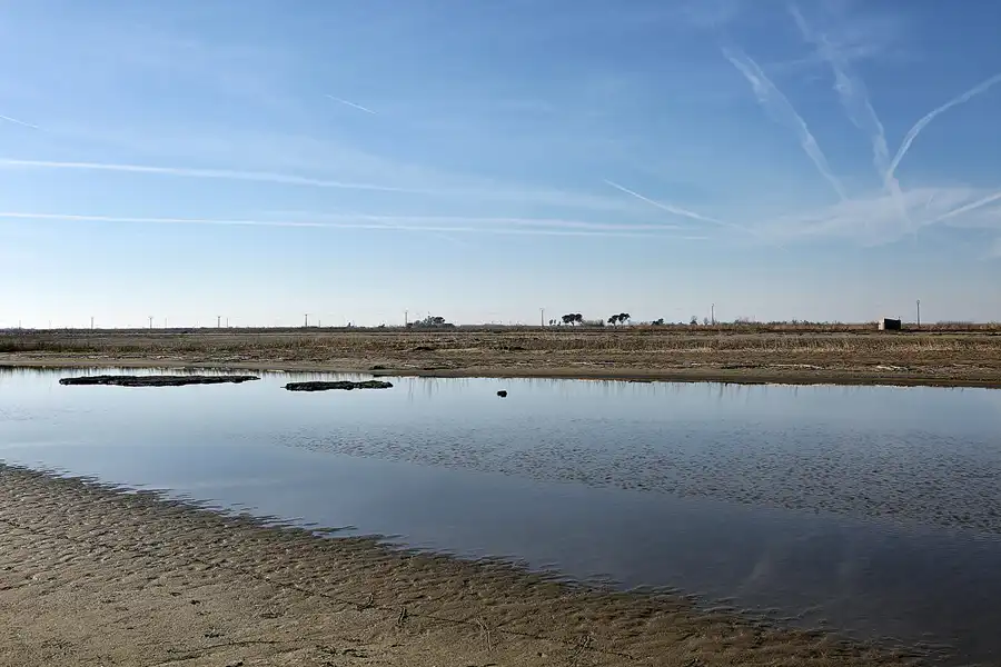 002 | 2020 | Punta Del Fangar | © carsten riede fotografie