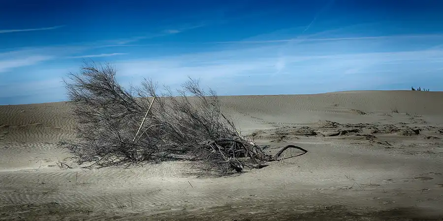 003 | 2020 | Punta Del Fangar | © carsten riede fotografie