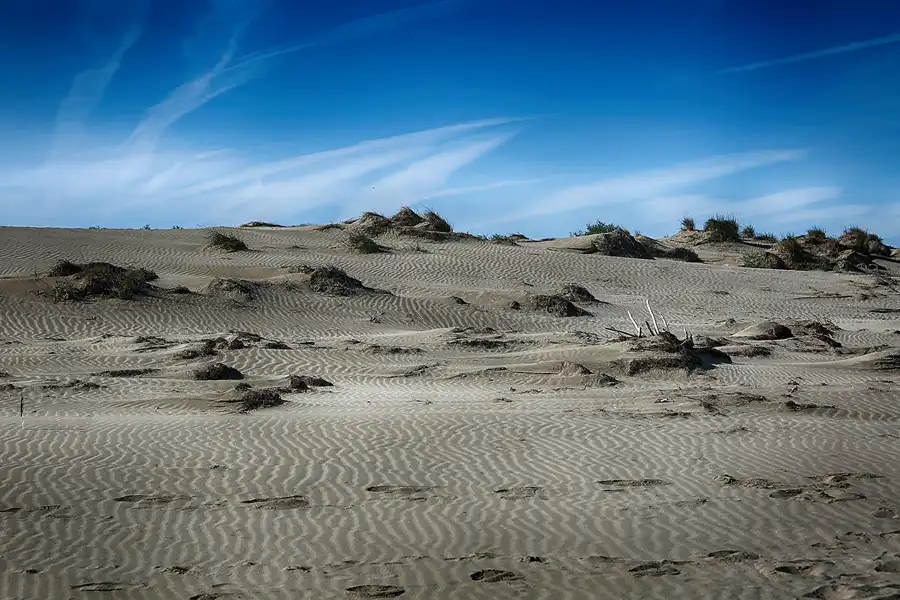 004 | 2020 | Punta Del Fangar | © carsten riede fotografie