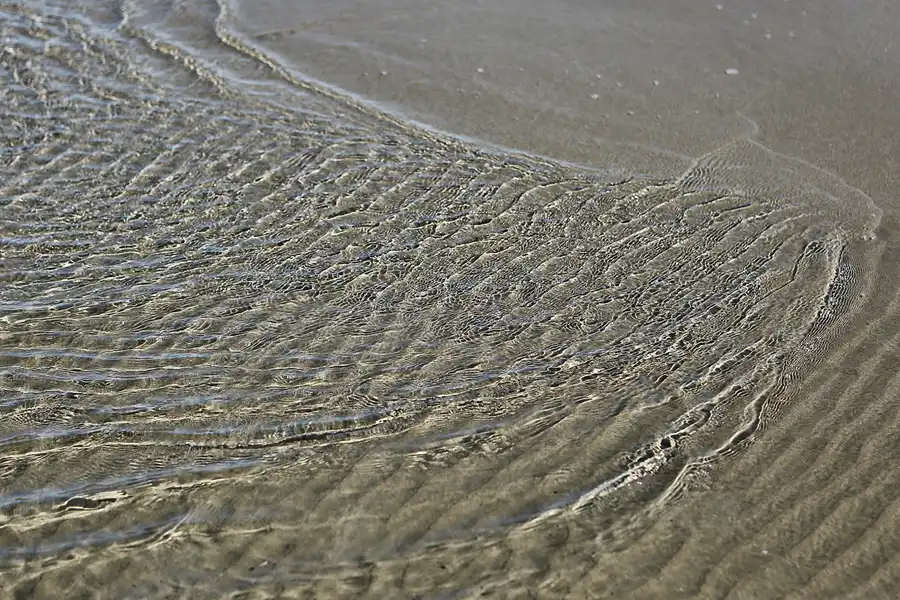 005 | 2020 | Punta Del Fangar | © carsten riede fotografie