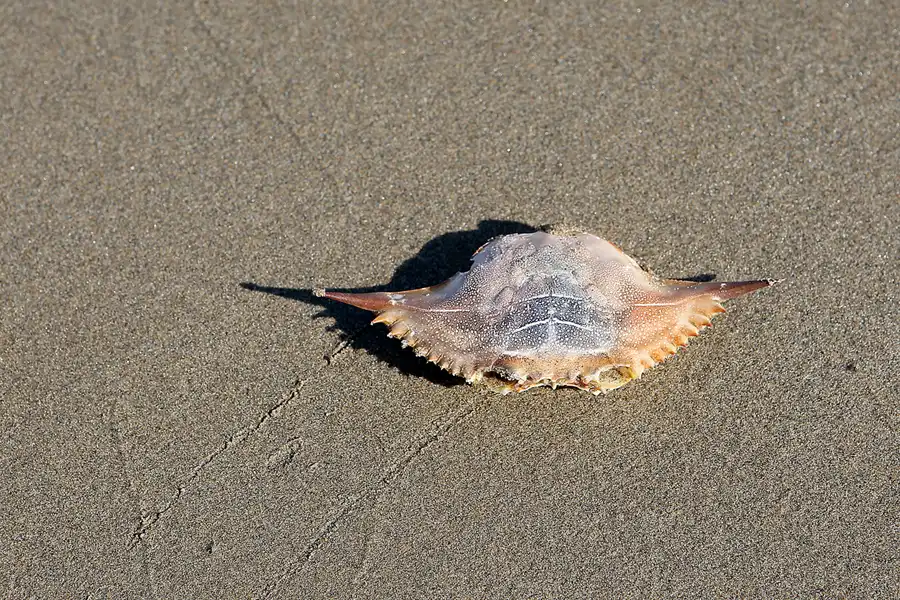 017 | 2020 | Punta Del Fangar | © carsten riede fotografie