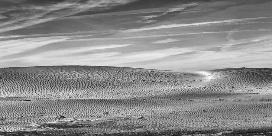 019 | 2020 | Punta Del Fangar | © carsten riede fotografie