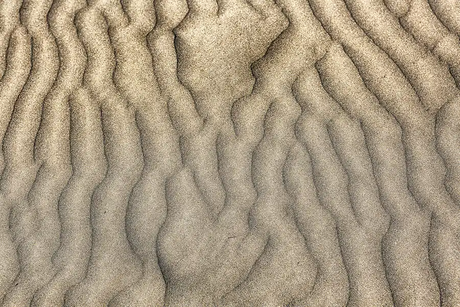 020 | 2020 | Punta Del Fangar | © carsten riede fotografie