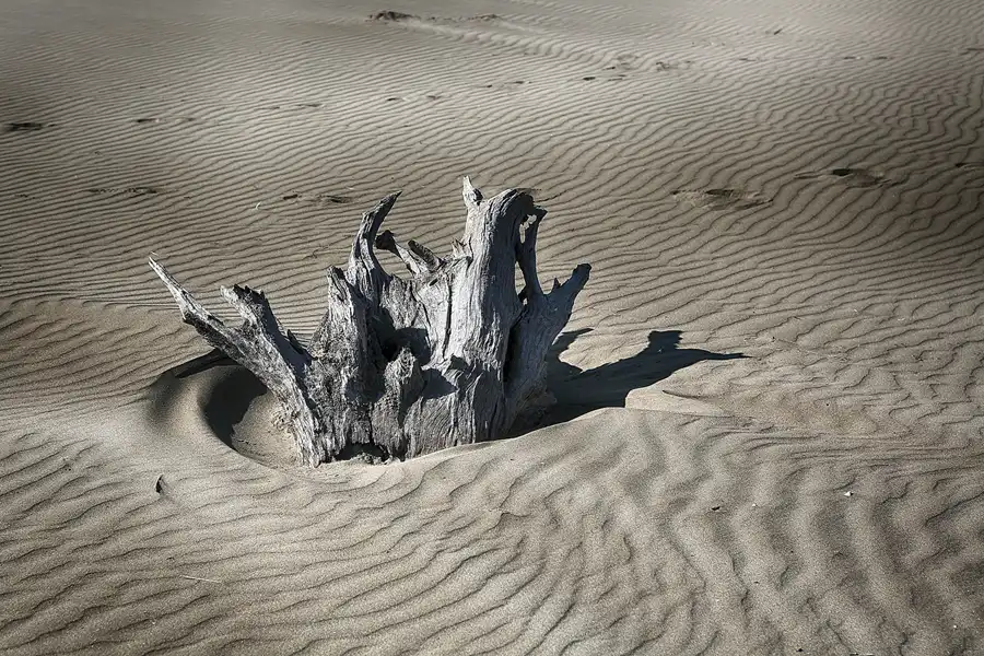 021 | 2020 | Punta Del Fangar | © carsten riede fotografie