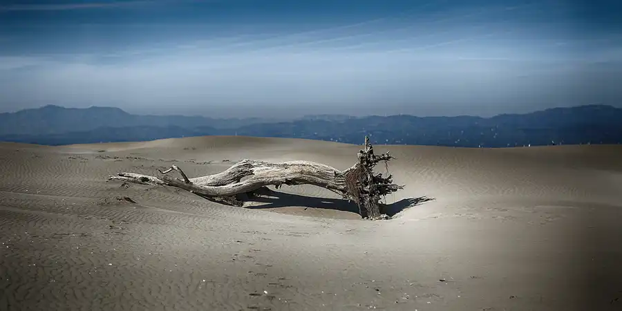 022 | 2020 | Punta Del Fangar | © carsten riede fotografie