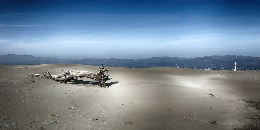023 | 2020 | Punta Del Fangar | © carsten riede fotografie