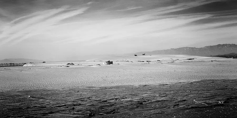 024 | 2020 | Punta Del Fangar | © carsten riede fotografie