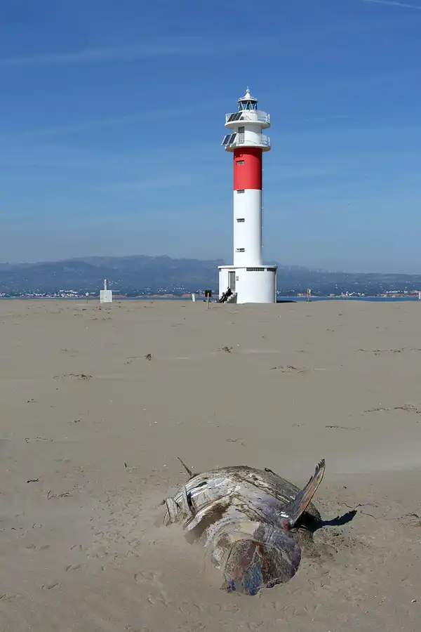 034 | 2020 | Punta Del Fangar | Far Del Fangar | © carsten riede fotografie