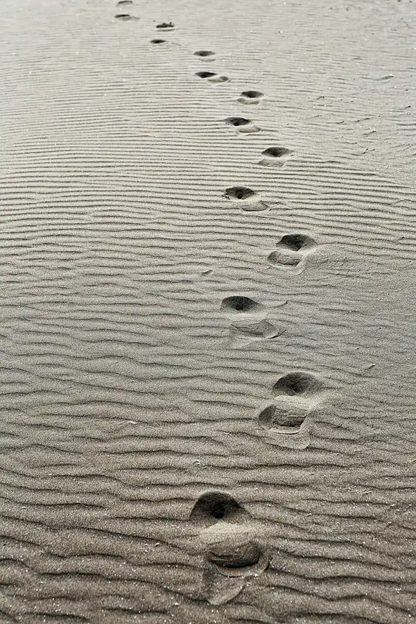 036 | 2020 | Punta Del Fangar | © carsten riede fotografie