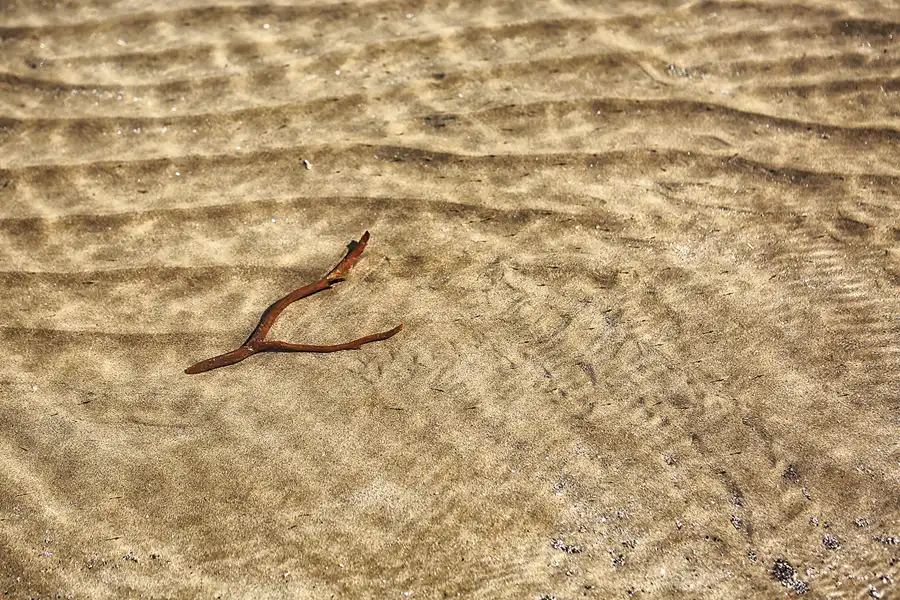 041 | 2020 | Punta Del Fangar | © carsten riede fotografie