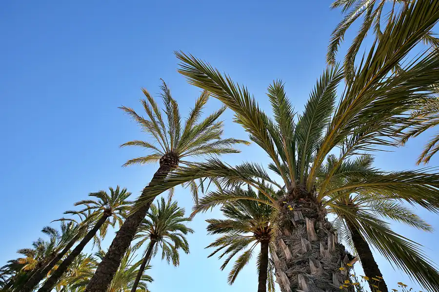 091 | 2020 | Valencia | © carsten riede fotografie