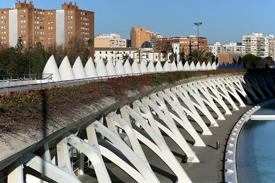 016 | 2020 | Valencia | Ciutat de les Arts i les Ciències | © carsten riede fotografie