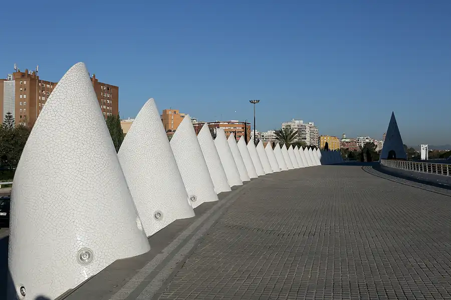 029 | 2020 | Valencia | Ciutat de les Arts i les Ciències | © carsten riede fotografie