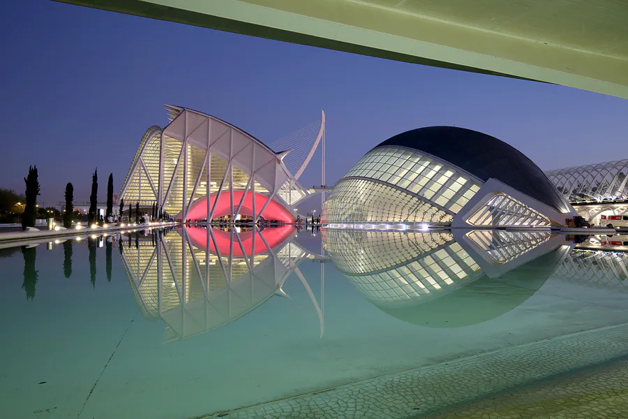 051 | 2020 | Valencia | Ciutat de les Arts i les Ciències | © carsten riede fotografie
