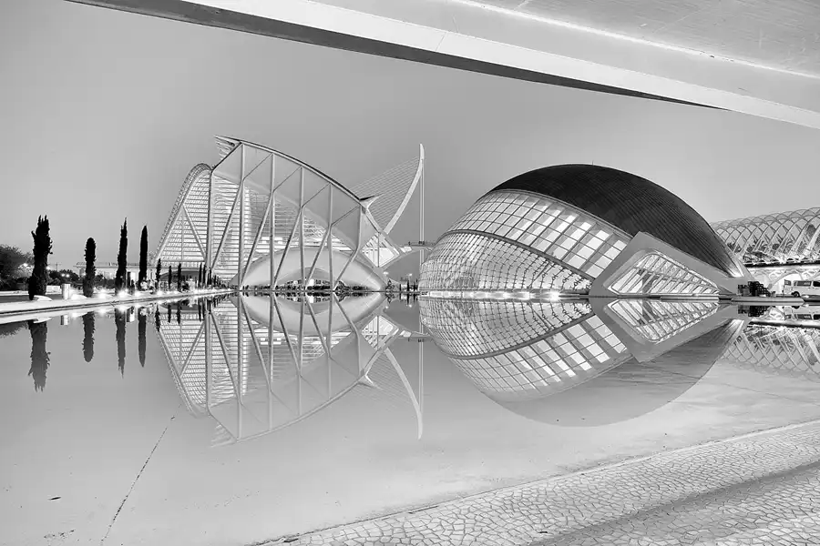 051 | 2020 | Valencia | Ciutat de les Arts i les Ciències | © carsten riede fotografie