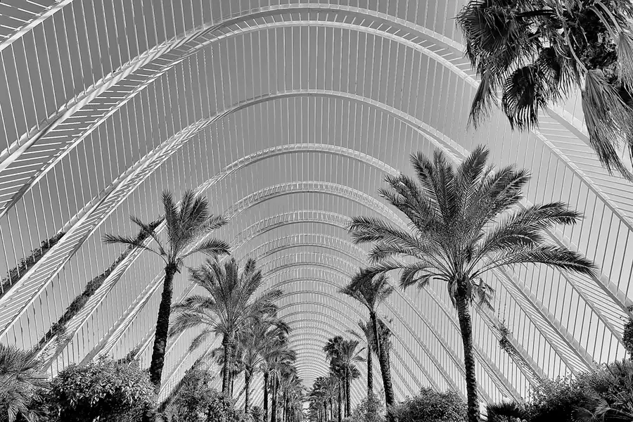 064 | 2020 | Valencia | Ciutat de les Arts i les Ciències | © carsten riede fotografie
