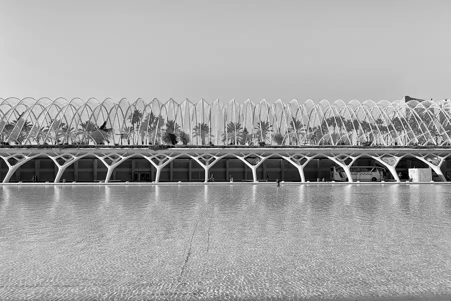 068 | 2020 | Valencia | Ciutat de les Arts i les Ciències | © carsten riede fotografie