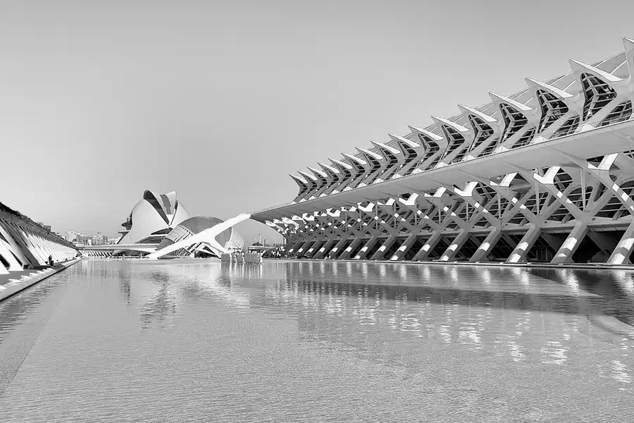 079 | 2020 | Valencia | Ciutat de les Arts i les Ciències | © carsten riede fotografie