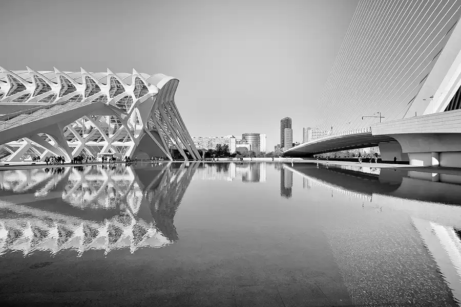 084 | 2020 | Valencia | Ciutat de les Arts i les Ciències | © carsten riede fotografie