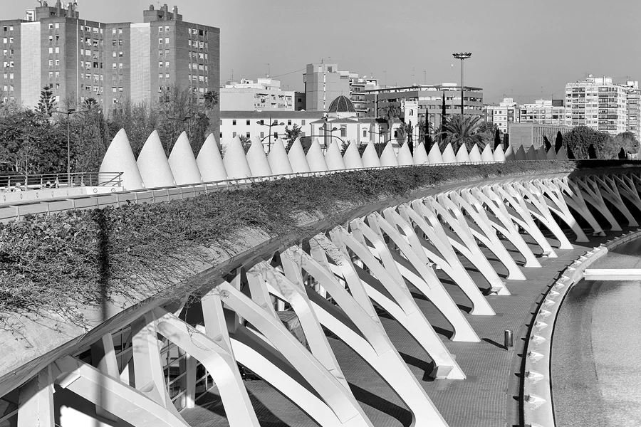 016 | 2020 | Valencia | Ciutat de les Arts i les Ciències | © carsten riede fotografie