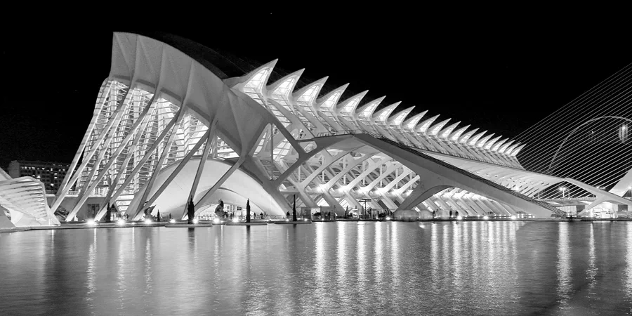 087 | 2020 | Valencia | Ciutat de les Arts i les Ciències | © carsten riede fotografie