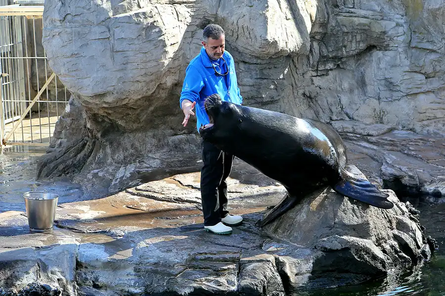 006 | 2020 | Valencia | Ciutat de les Arts i les Ciències – L&rsquo; oceanogràfic | © carsten riede fotografie