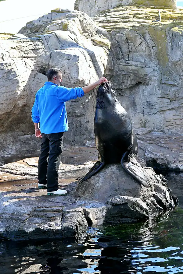 007 | 2020 | Valencia | Ciutat de les Arts i les Ciències – L&rsquo; oceanogràfic | © carsten riede fotografie