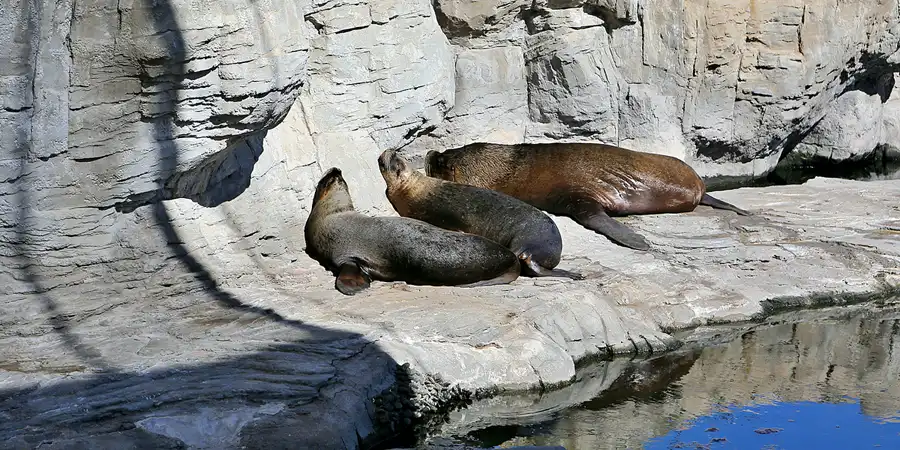 009 | 2020 | Valencia | Ciutat de les Arts i les Ciències – L&rsquo; oceanogràfic | © carsten riede fotografie